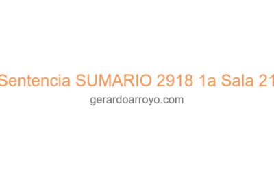 Sentencia SUMARIO 2918 1a Sala 21