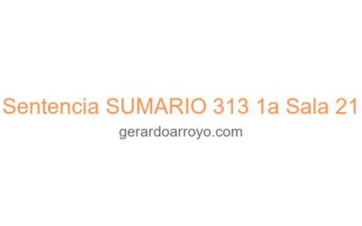 Sentencia SUMARIO 313 1a Sala 21
