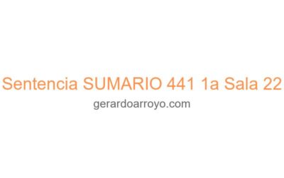 Sentencia SUMARIO 441 1a Sala 22