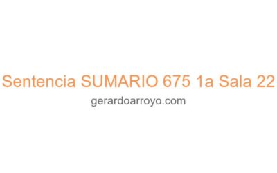 Sentencia SUMARIO 675 1a Sala 22