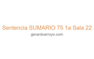 Sentencia SUMARIO 75 1a Sala 22