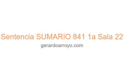 Sentencia SUMARIO 841 1a Sala 22