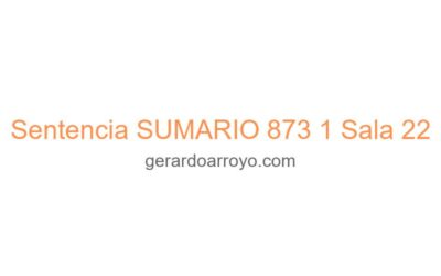 Sentencia SUMARIO 873 1 Sala 22