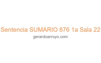 Sentencia SUMARIO 876 1a Sala 22