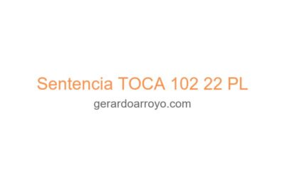 Sentencia TOCA 102 22 PL