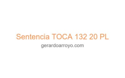 Sentencia TOCA 132 20 PL