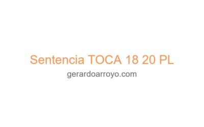Sentencia TOCA 18 20 PL