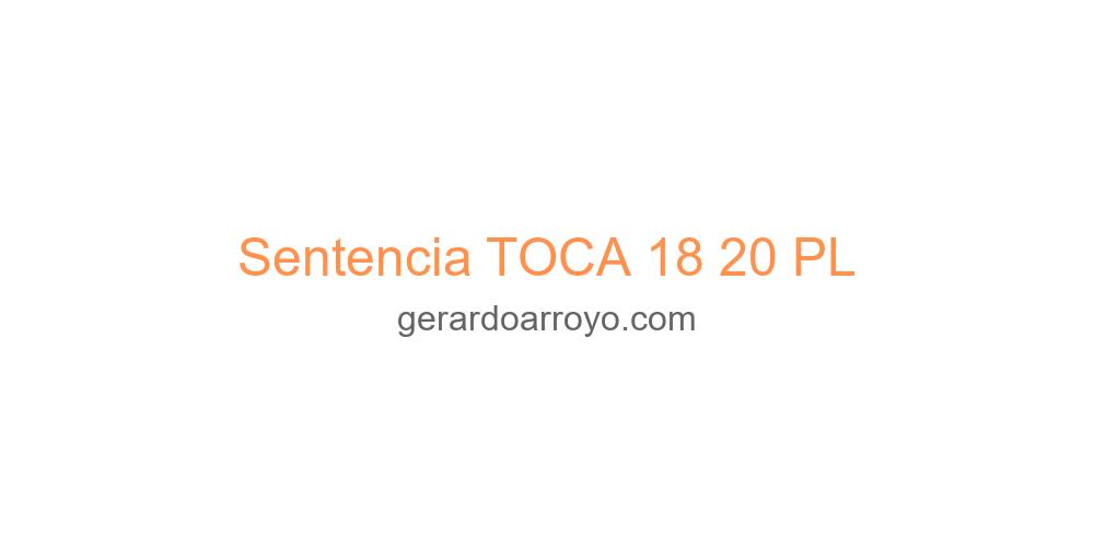Sentencia TOCA 18 20 PL