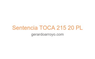 Sentencia TOCA 215 20 PL