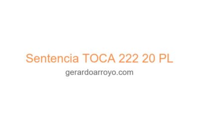 Sentencia TOCA 222 20 PL