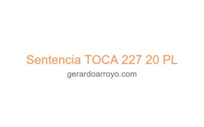 Sentencia TOCA 227 20 PL