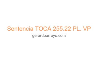 Sentencia TOCA 255.22 PL. VP