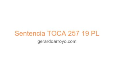 Sentencia TOCA 257 19 PL
