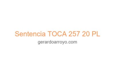 Sentencia TOCA 257 20 PL