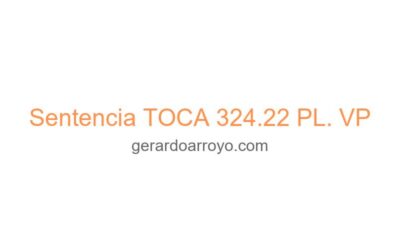 Sentencia TOCA 324.22 PL. VP