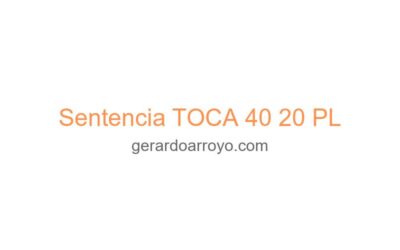 Sentencia TOCA 40 20 PL