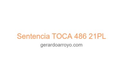 Sentencia TOCA 486 21PL