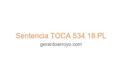 Sentencia TOCA 534 18 PL