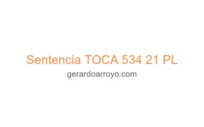 Sentencia TOCA 534 21 PL