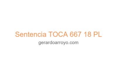 Sentencia TOCA 667 18 PL