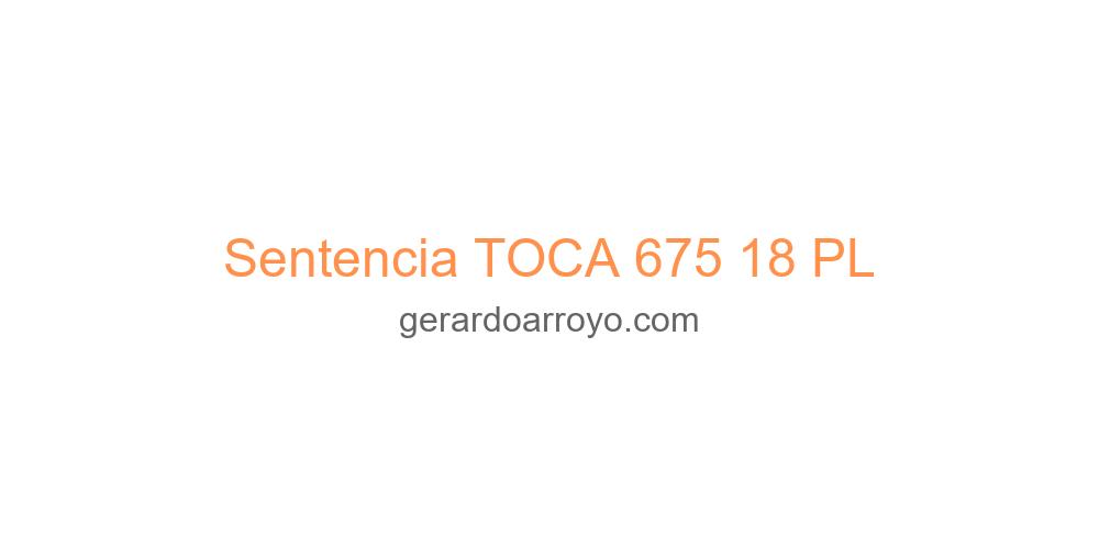Sentencia TOCA 675 18 PL