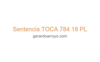 Sentencia TOCA 784 18 PL