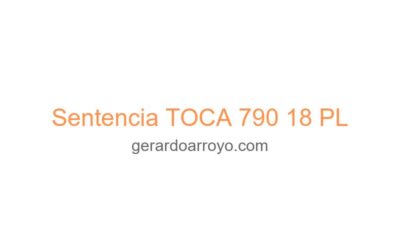Sentencia TOCA 790 18 PL