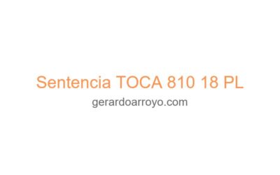 Sentencia TOCA 810 18 PL