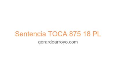 Sentencia TOCA 875 18 PL