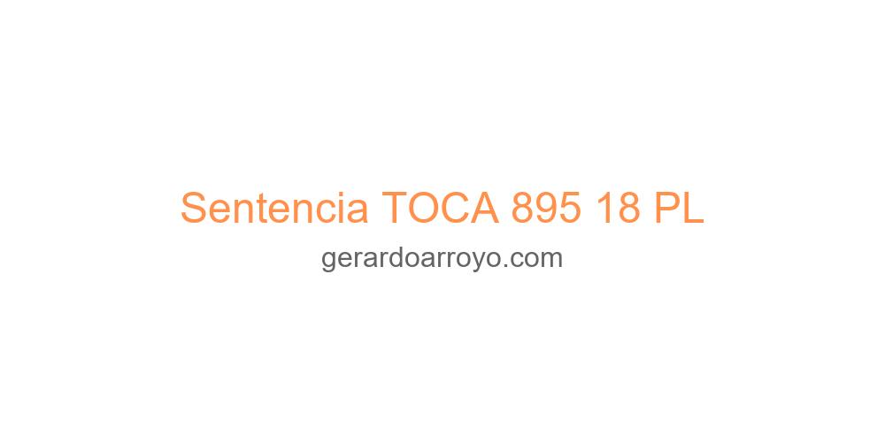Sentencia TOCA 895 18 PL