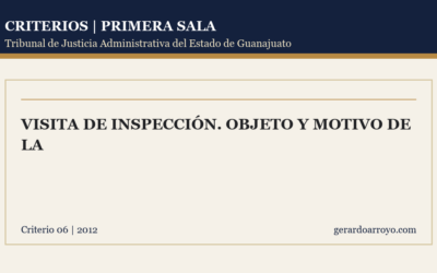 Visita De Inspección. Objeto Y Motivo De La